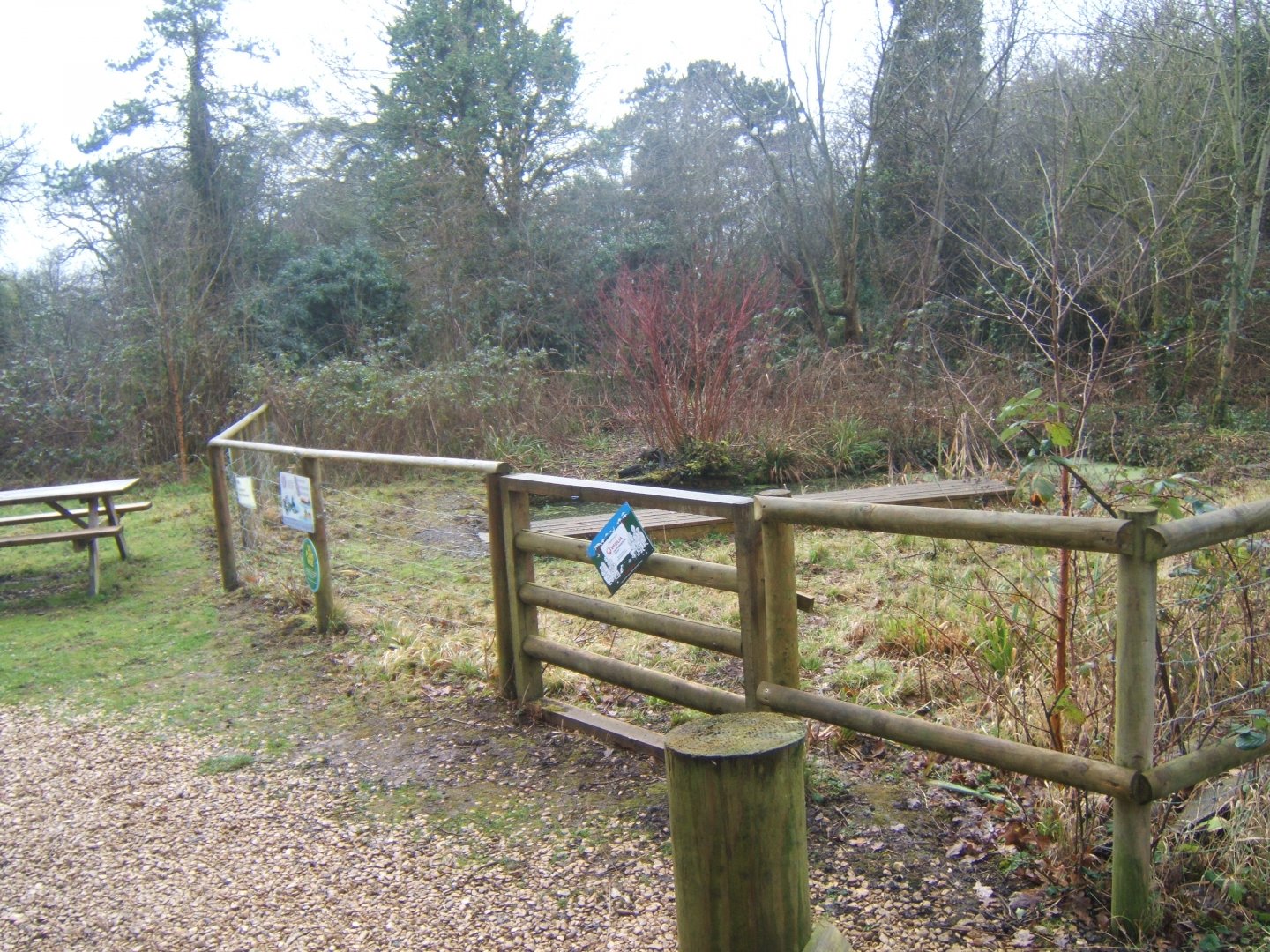 View of Pond dipping area 03/02/2018