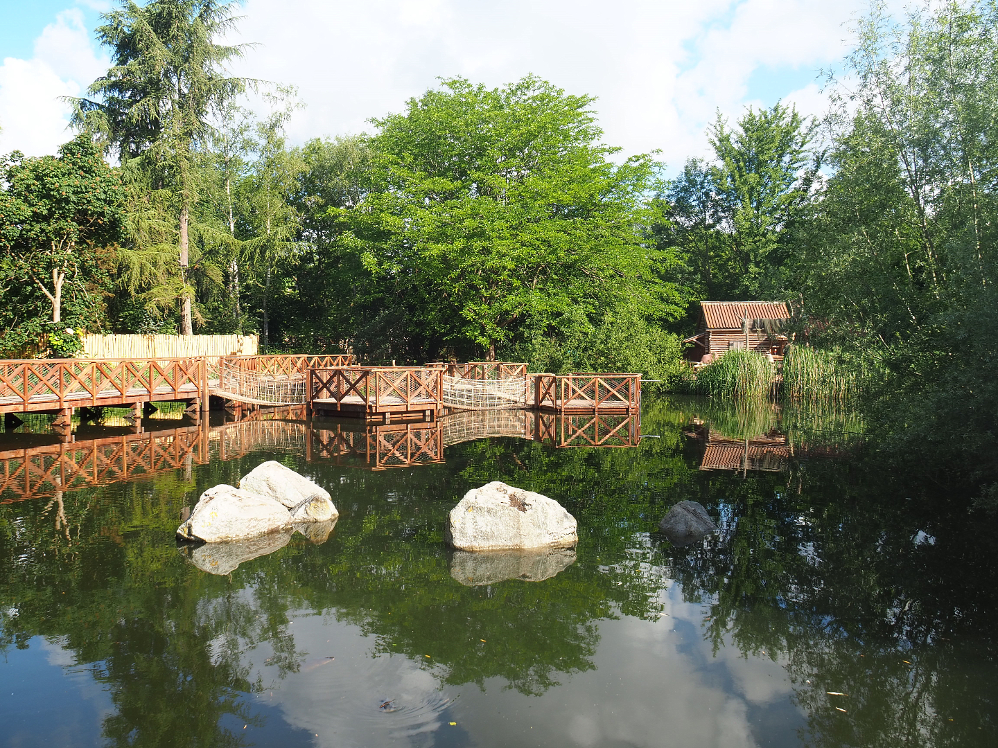 View of pond in Oceania section with new boardwalk and play areas and echnidna house, 2022-05-28