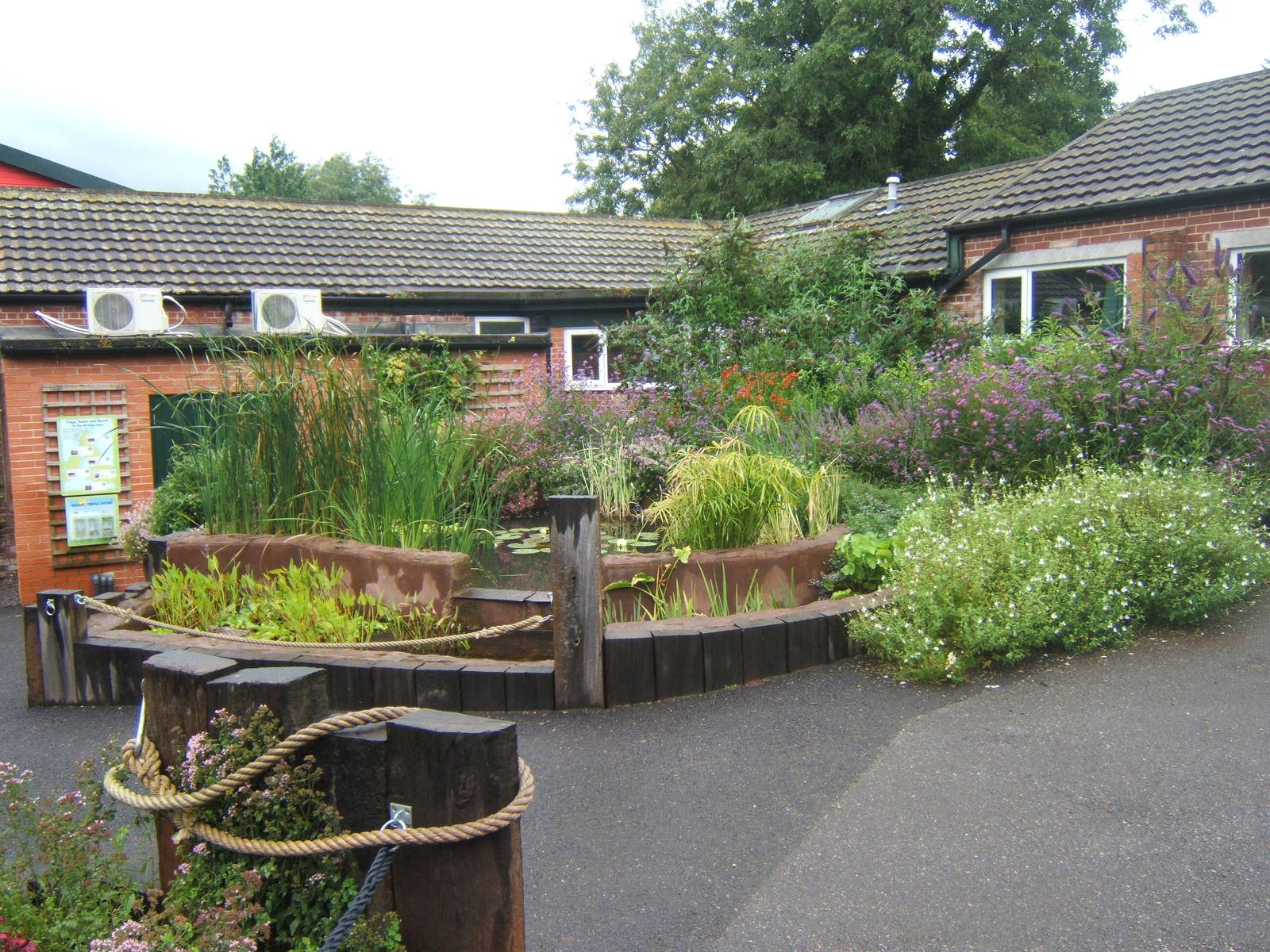 View of pond outside Amphibian Room