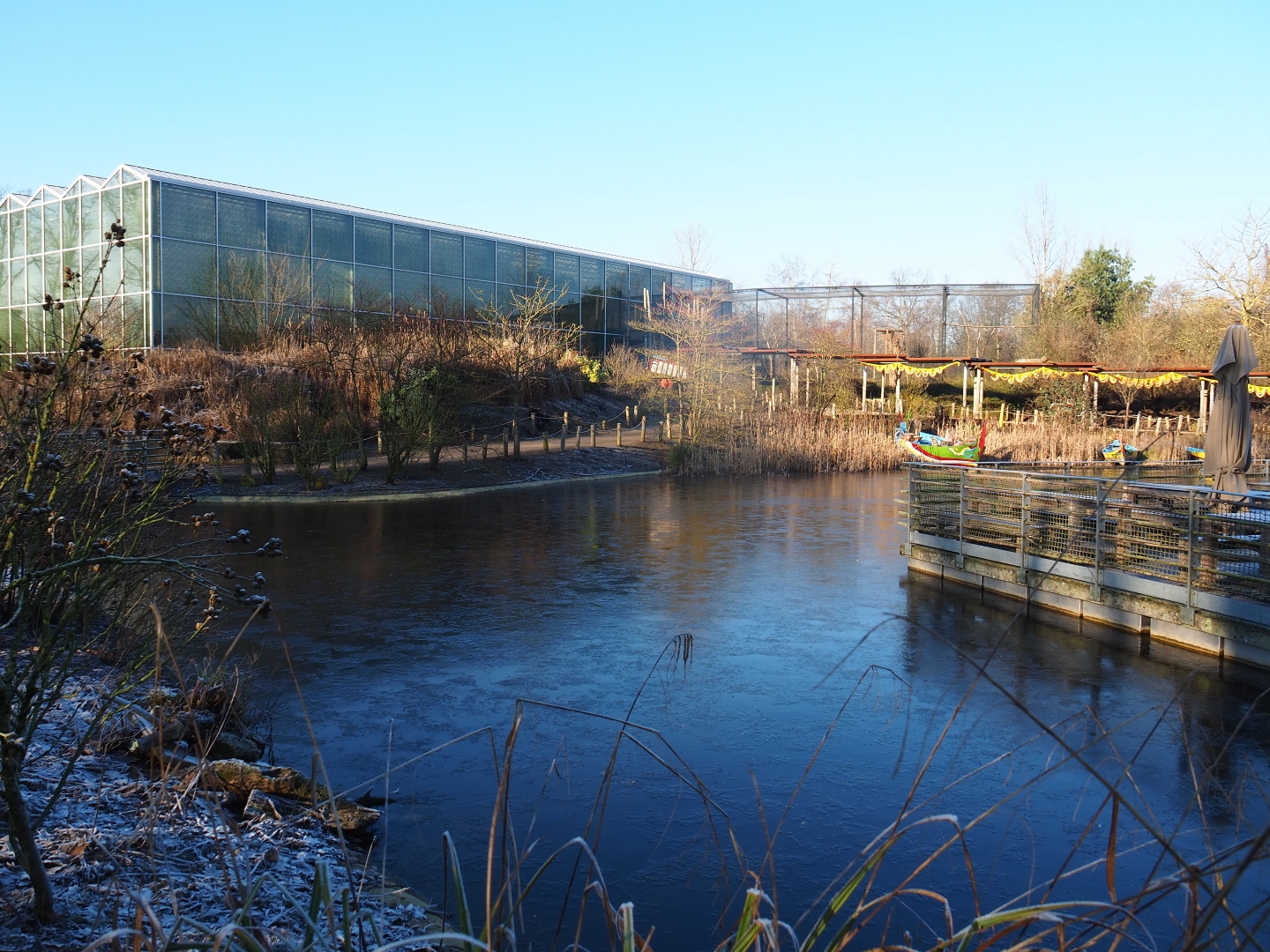 View of pond, terrace and Asian greenhouse (Jan 20th, 2019)