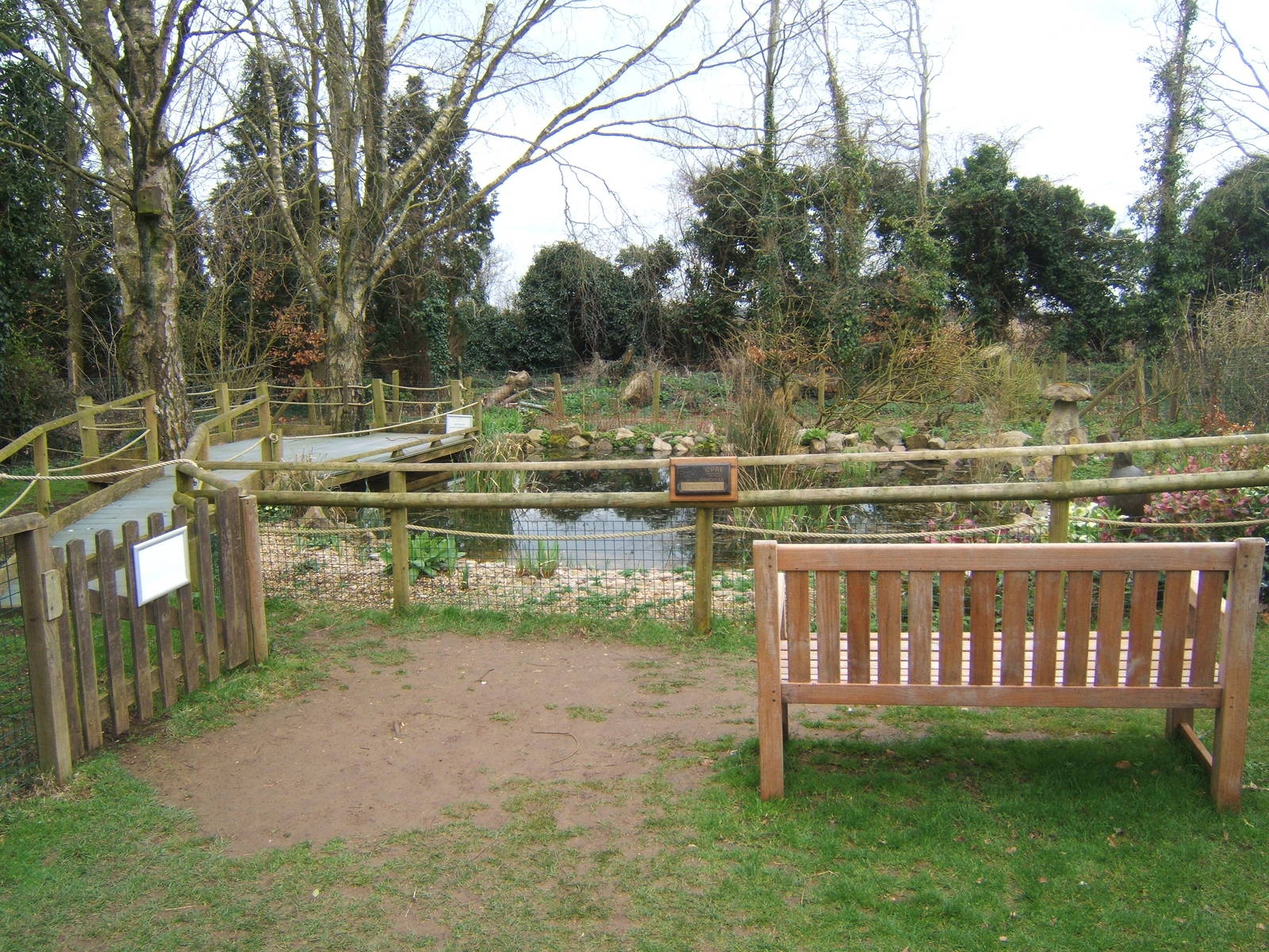 View of pond