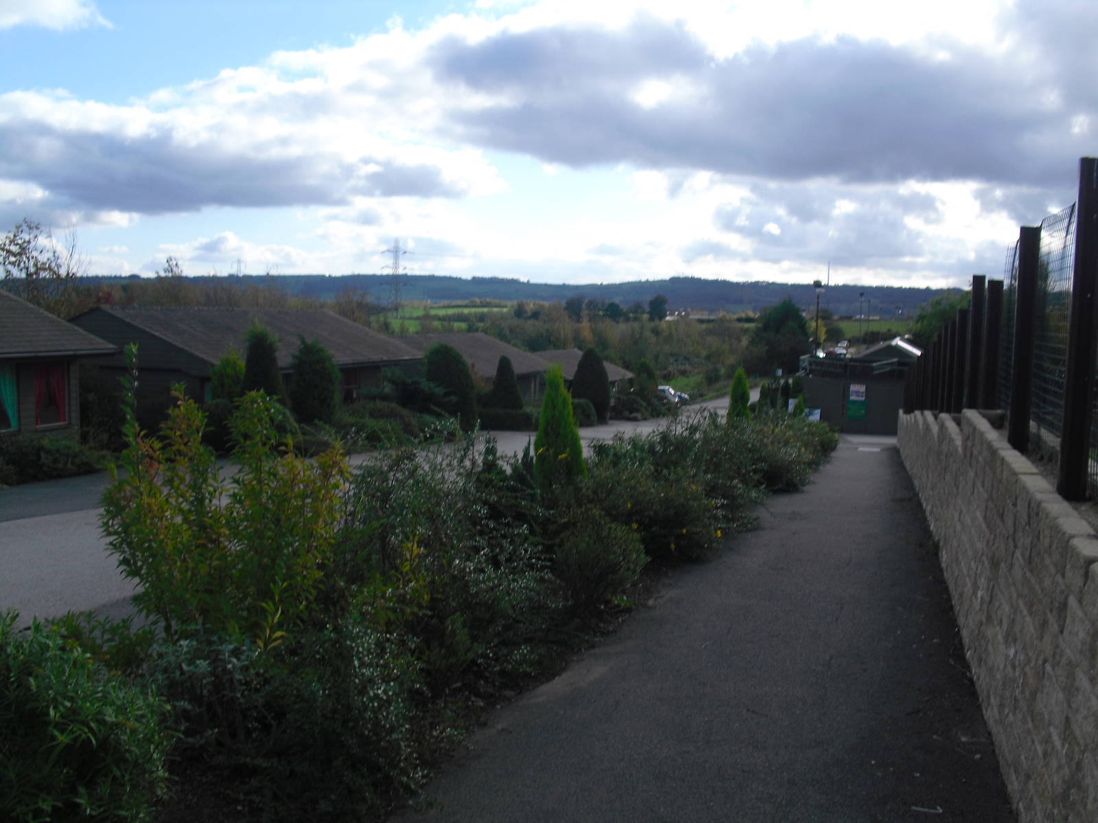 View of Ponderosa - 16/10/2011