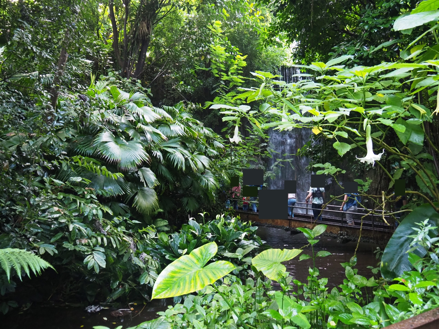 View of pool by big waterfall (Sep 16th, 2018)