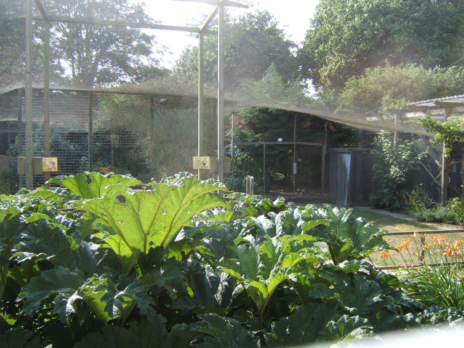View of Pool Garden Aviarys