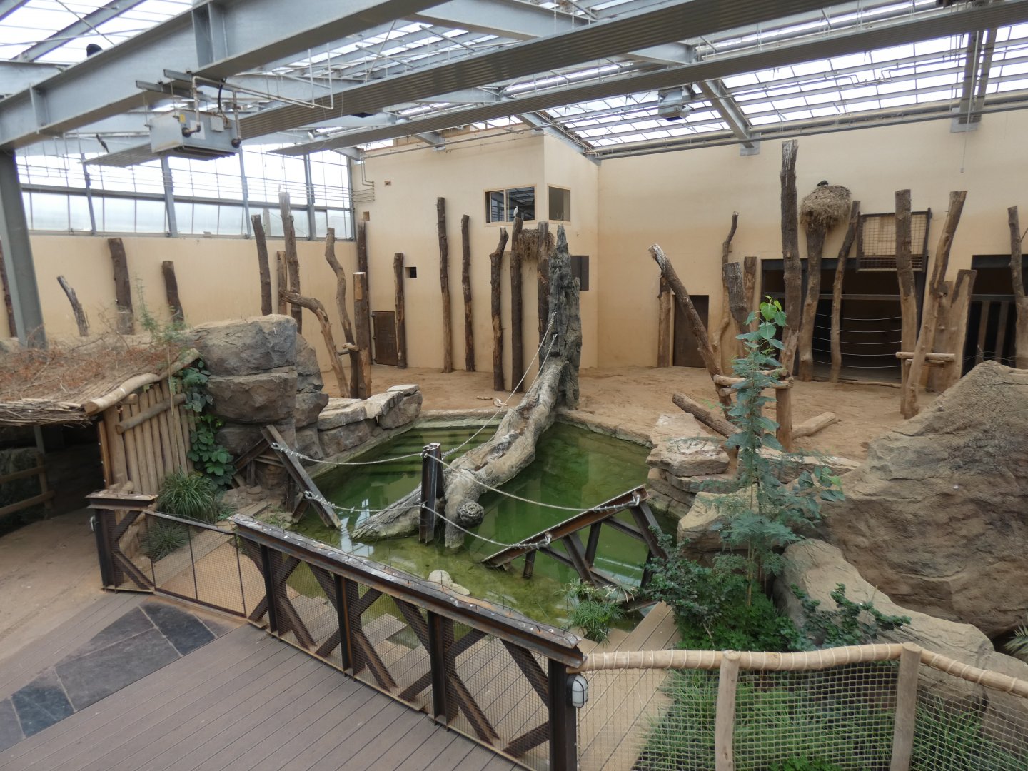 View of pool in Elephant house