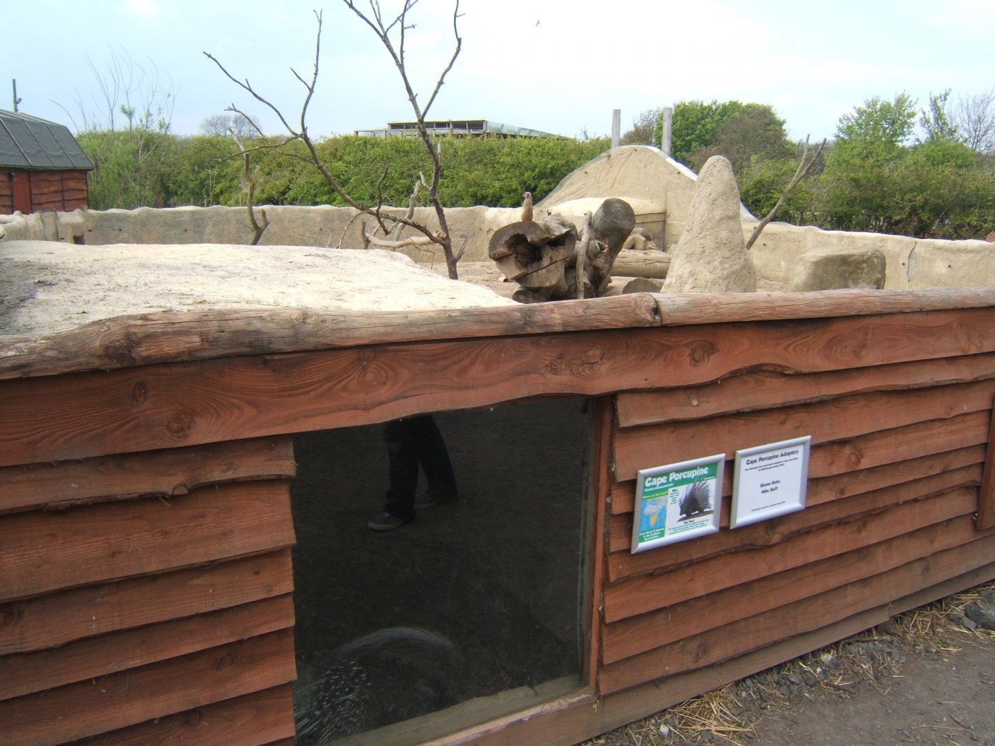 View of Porcupine and Meerkat enclosure