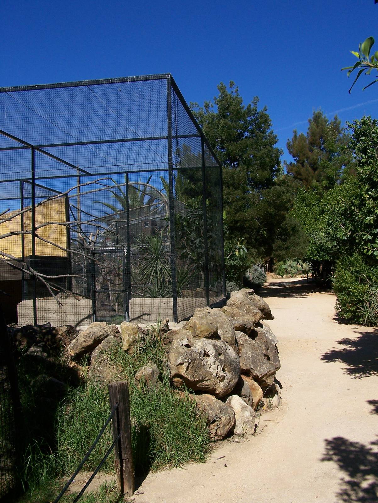 View of porcupine enclosure and macaw aviary behind