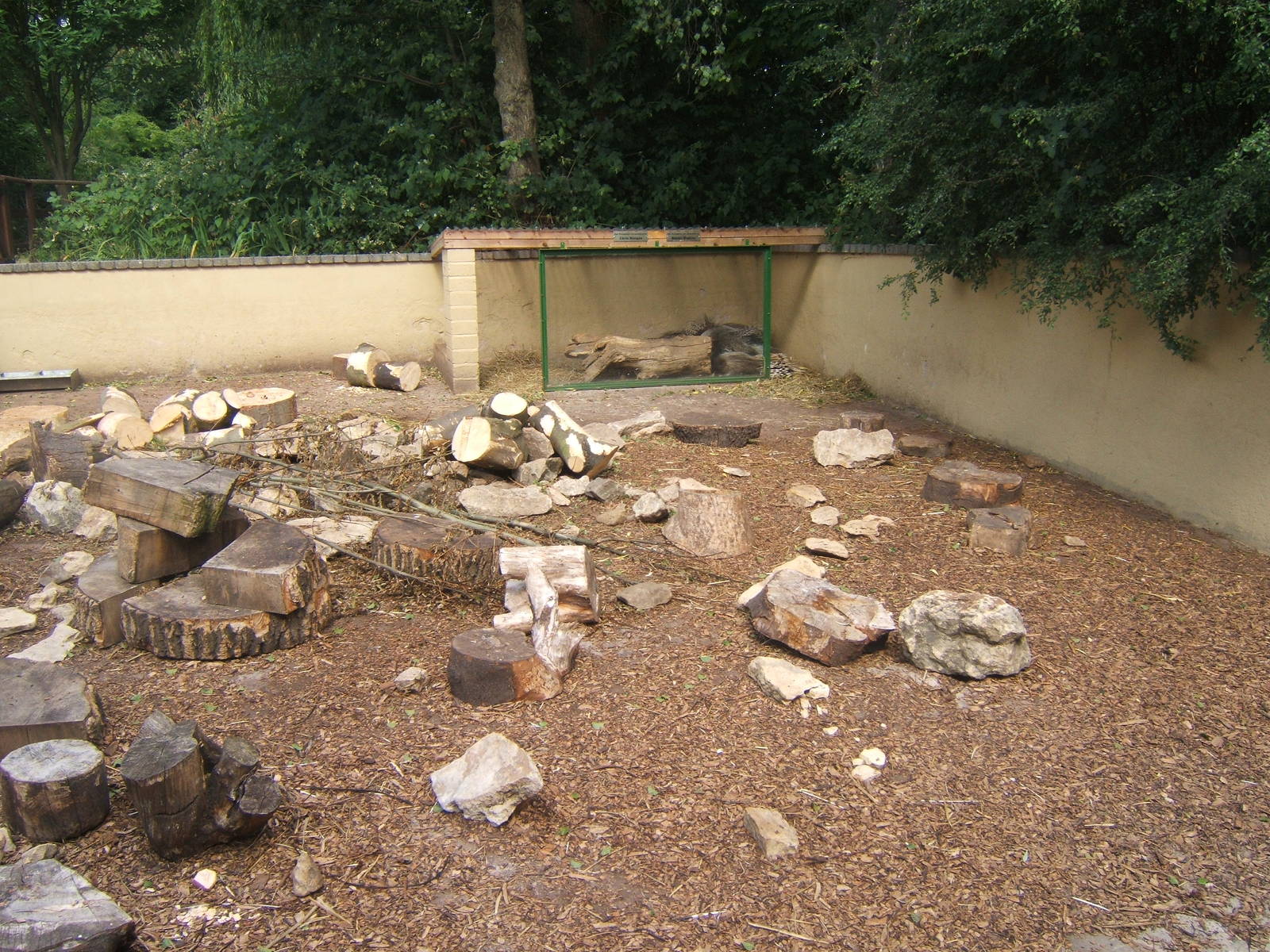 View of Porcupine enclosure