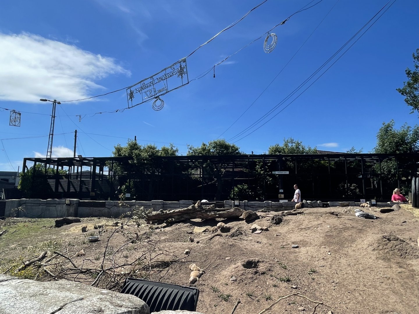 View of prairie dog and lynx enclosure (2)