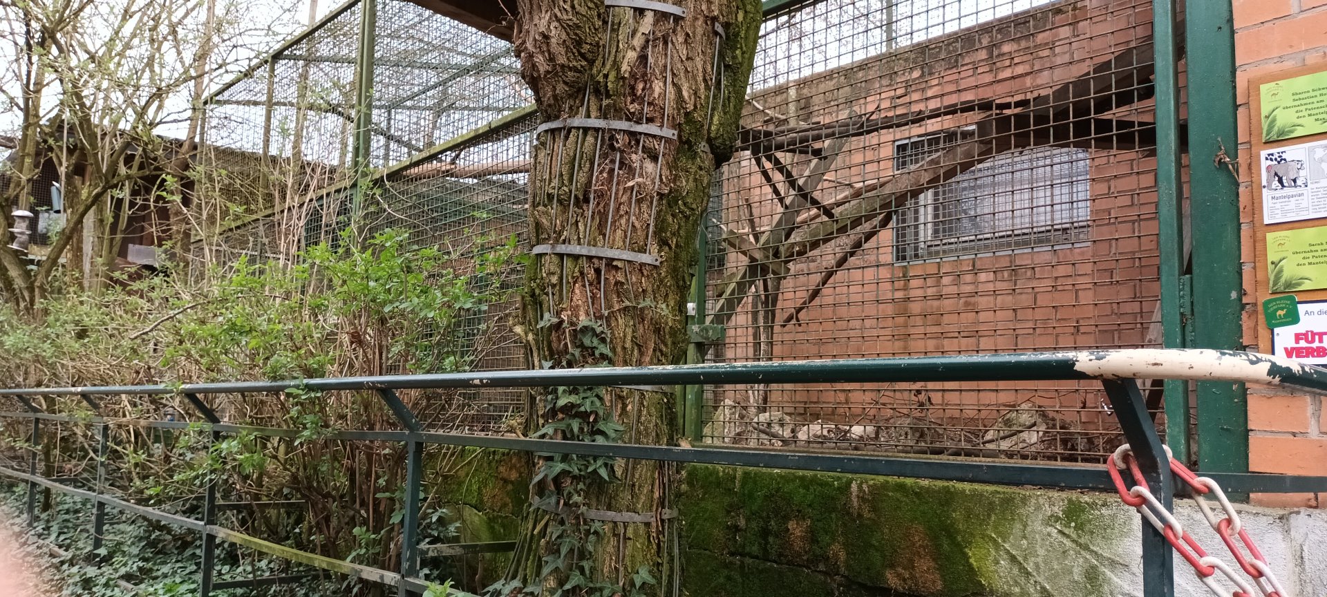 View of Primate Enclosures