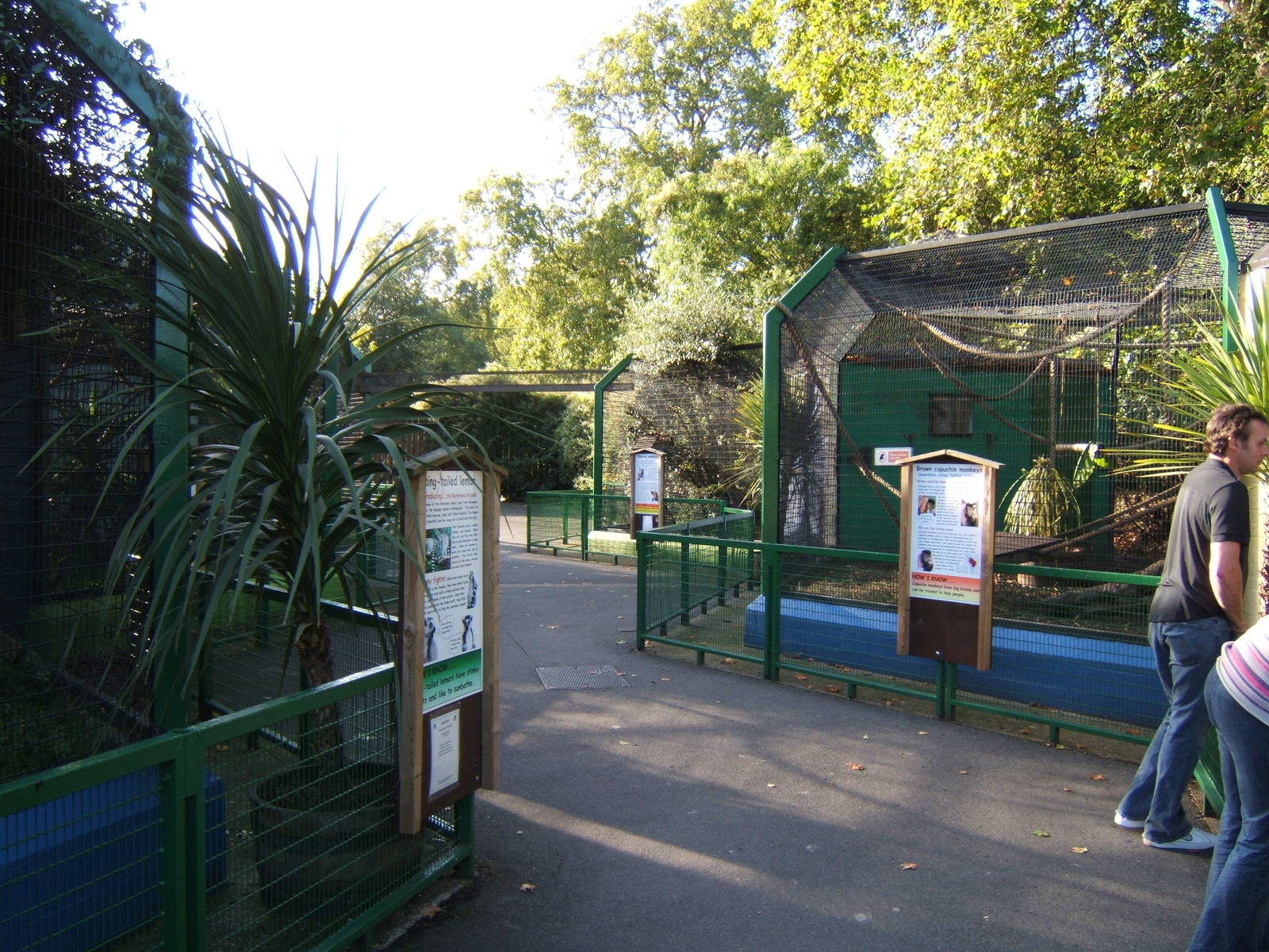 View of primate exhibits