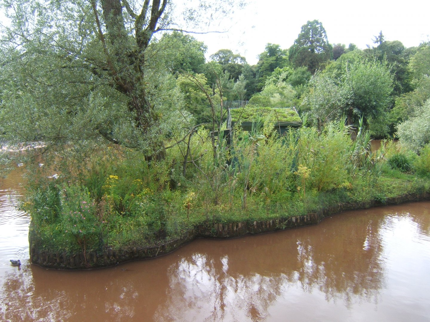 View of primate island in lake 30/07/2017