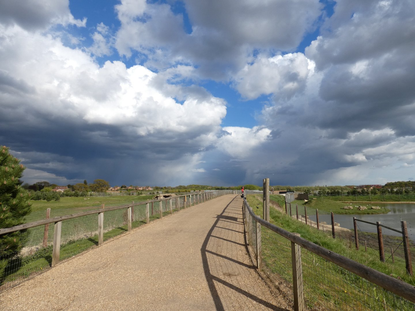 View of Project Polar