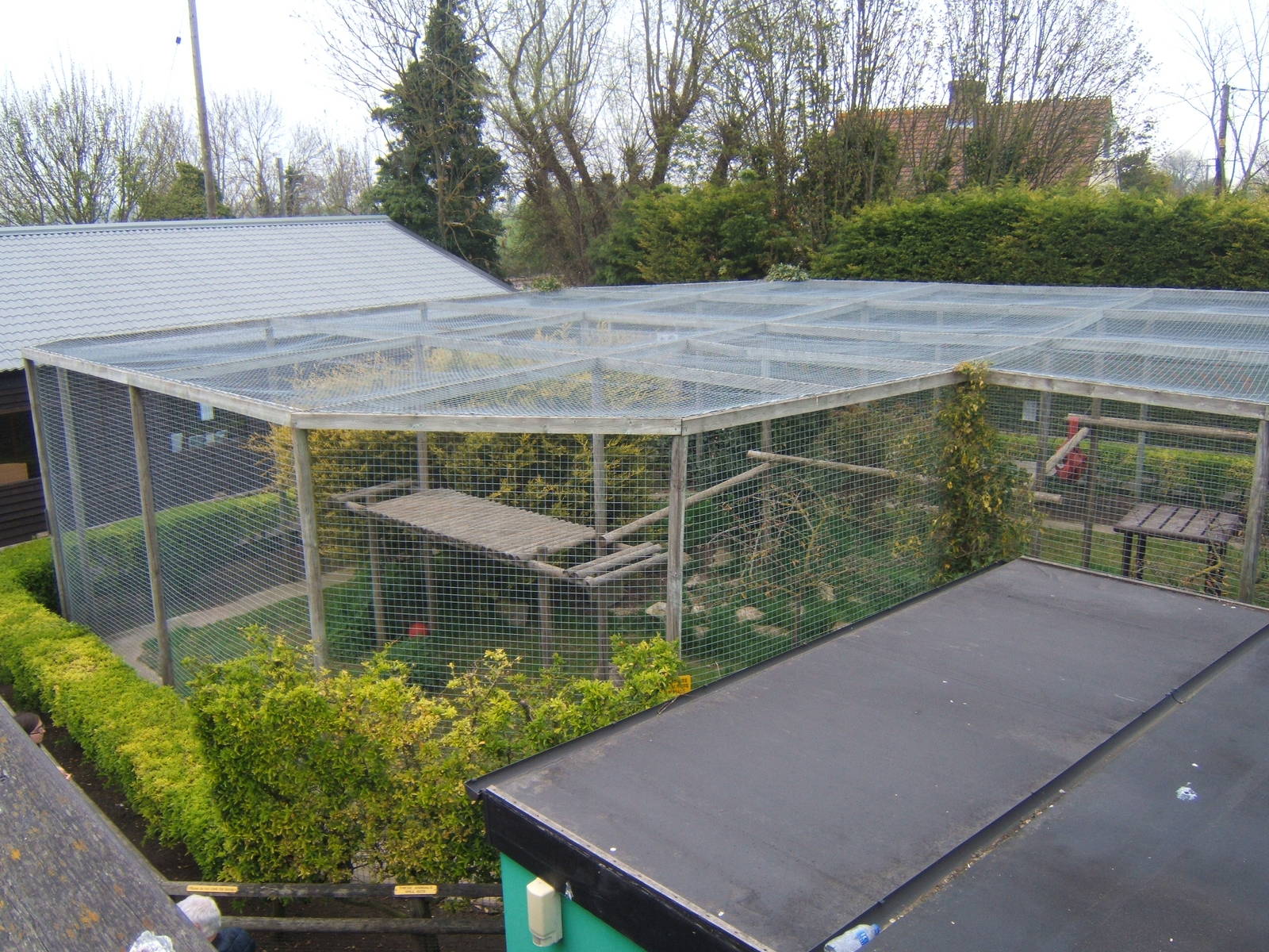 View of Puma enclosure from above