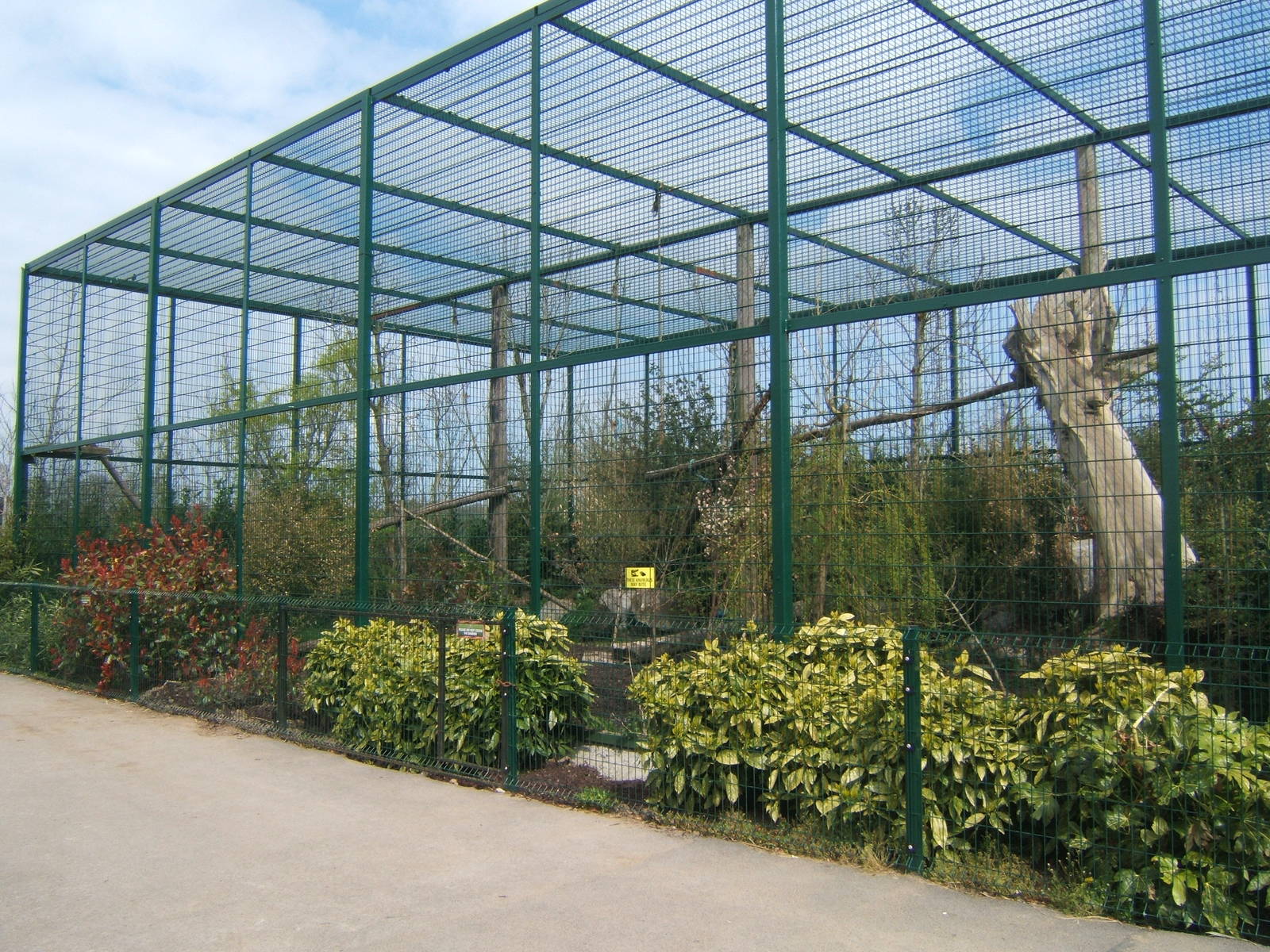 View of Puma enclosure