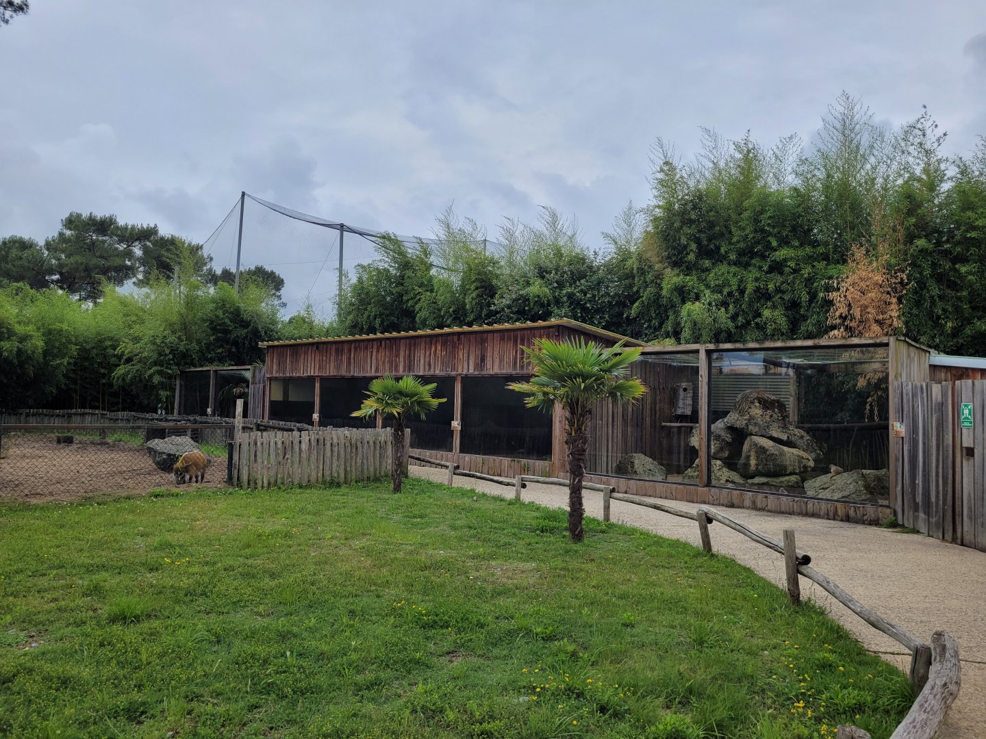 View of pygmy hippo house -Zoo du bassin d'Arcachon (2024)