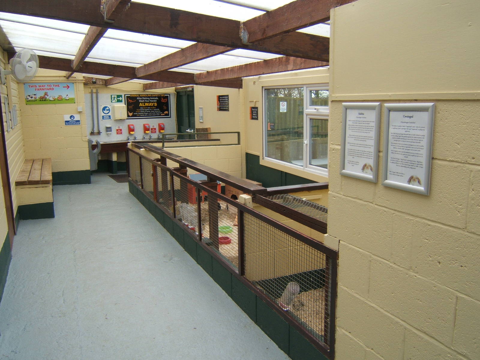 View of Rabbit and Guinea Pig room