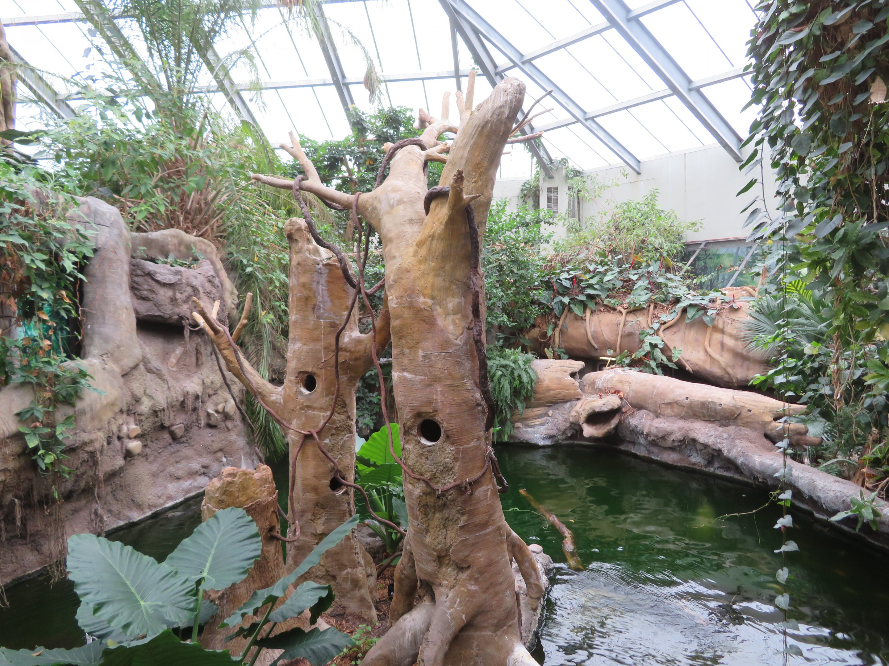 View of Rainforest Building