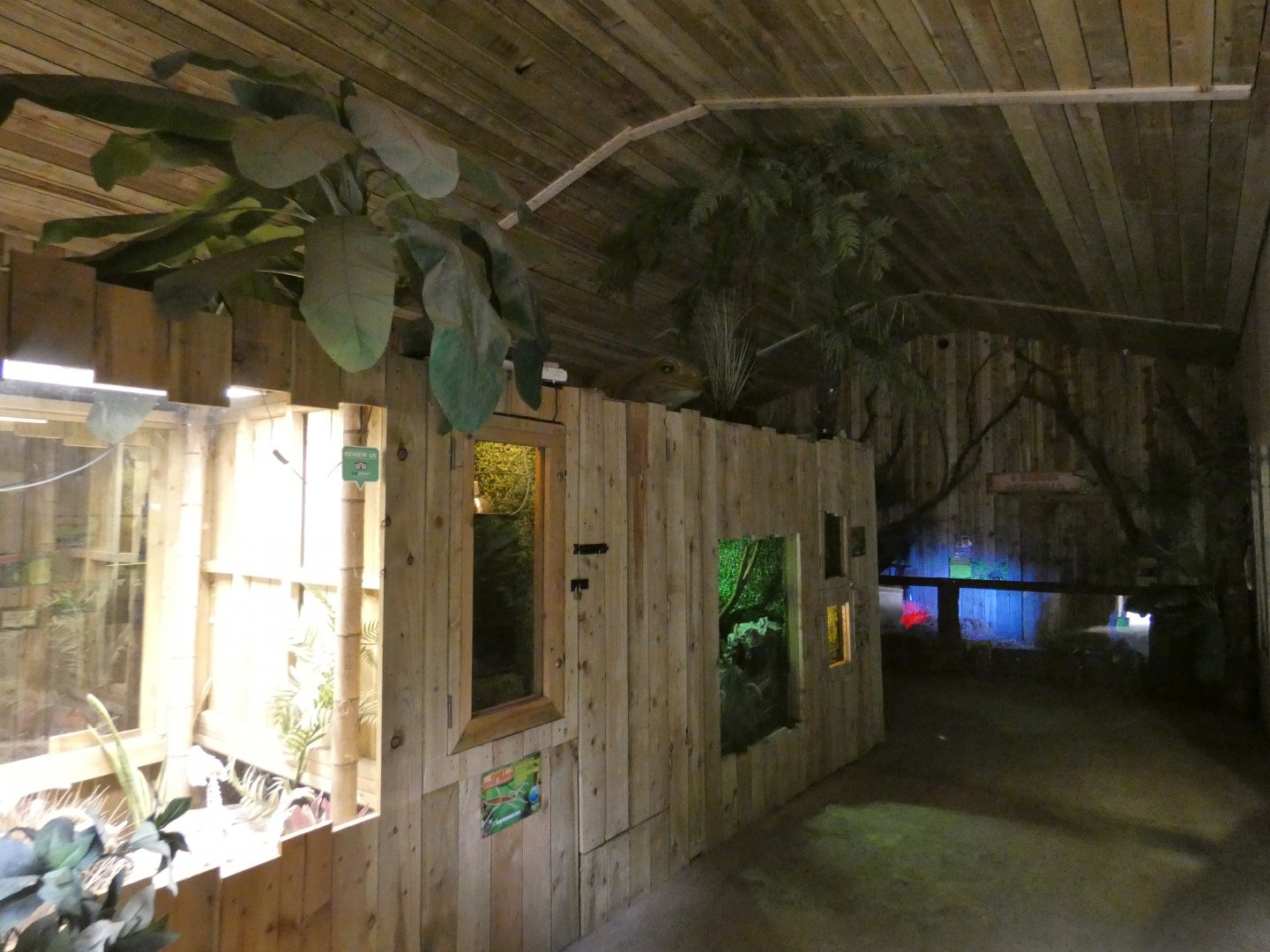 View of Rainforest house