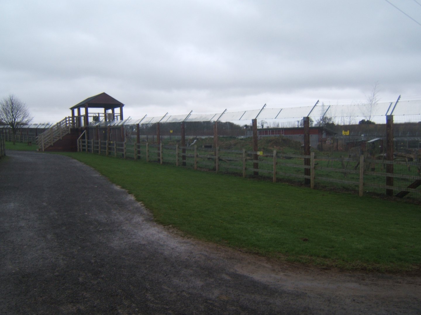 View of raised viewing for Spectacled Bear and Coati 03/02/2018