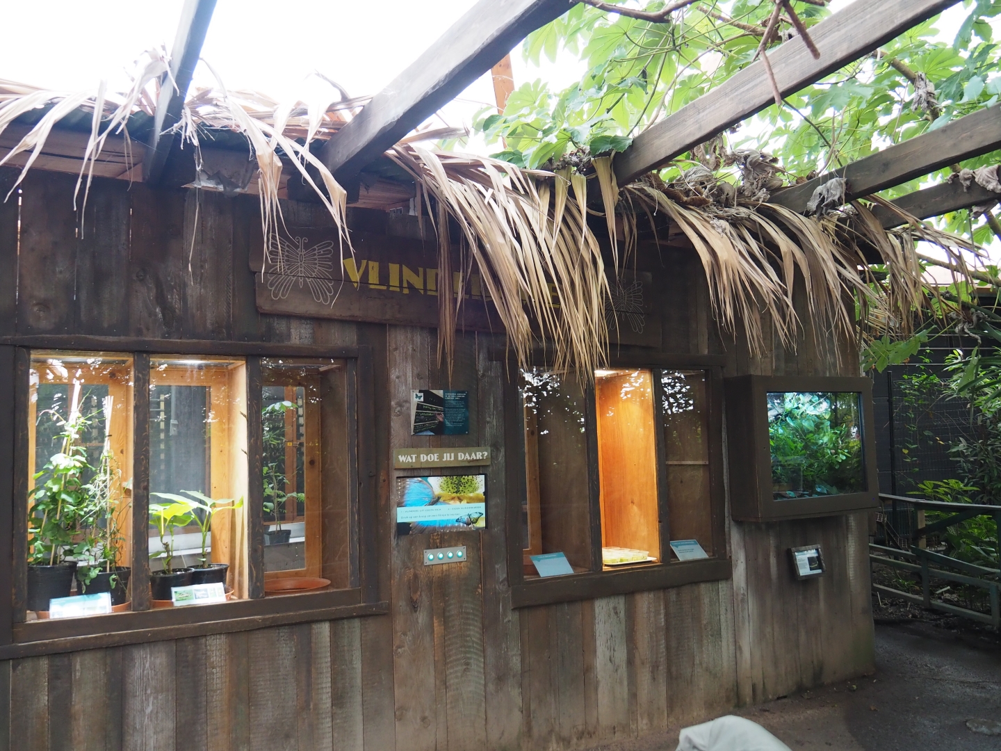 View of raising rooms (Nov 10th, 2018)