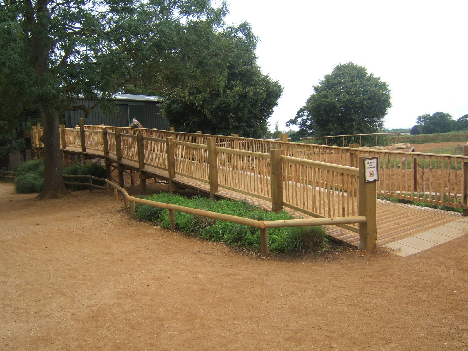 View of ramp up to Giraffe House