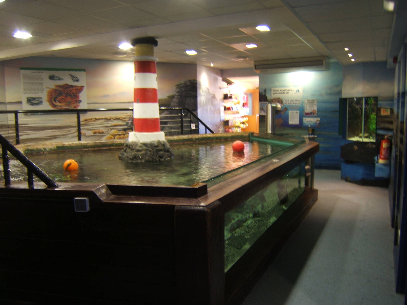 View of Ray Tank