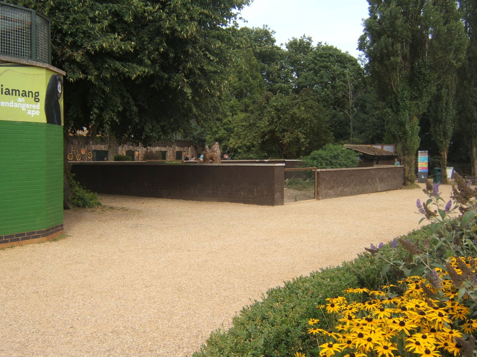 View of re-built Meerkat enclosure