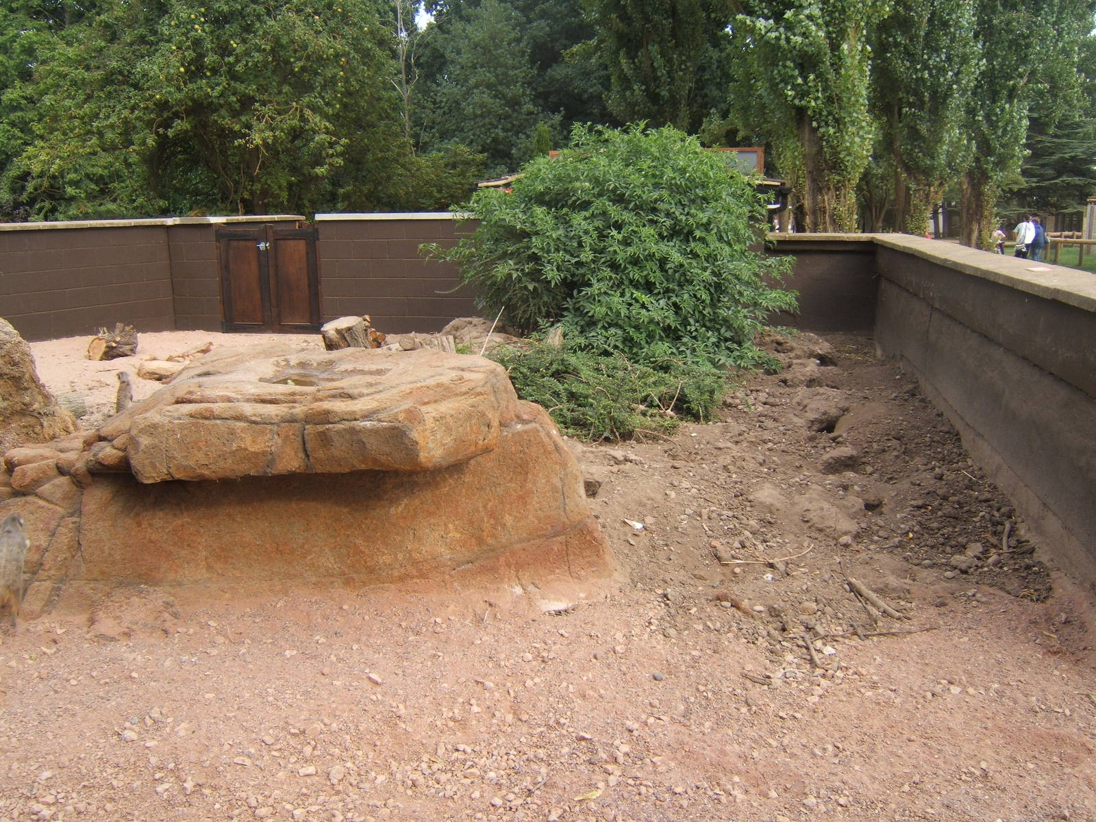 View of re-built Meerkat enclosure