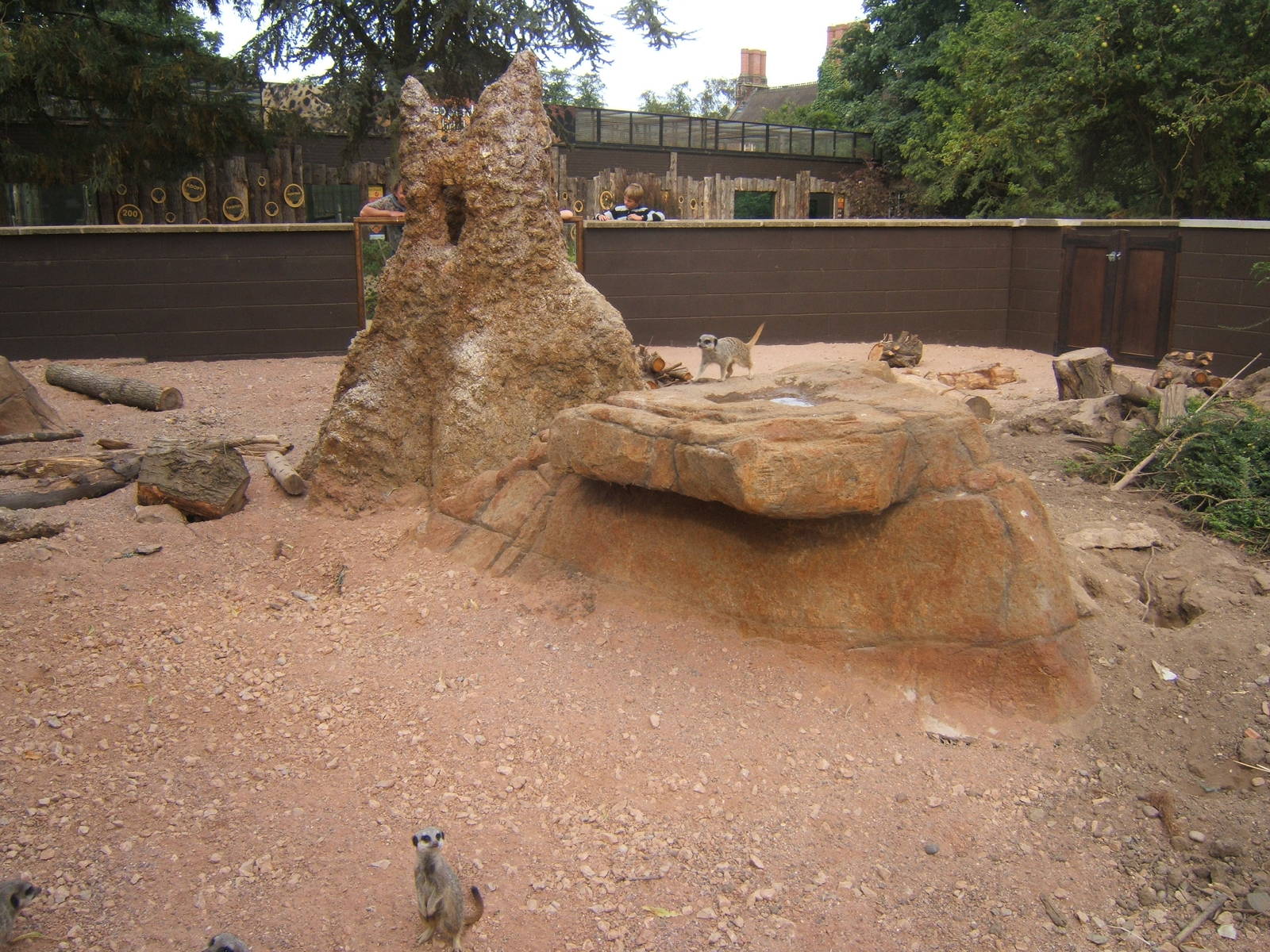 View of re-built Meerkat enclosure