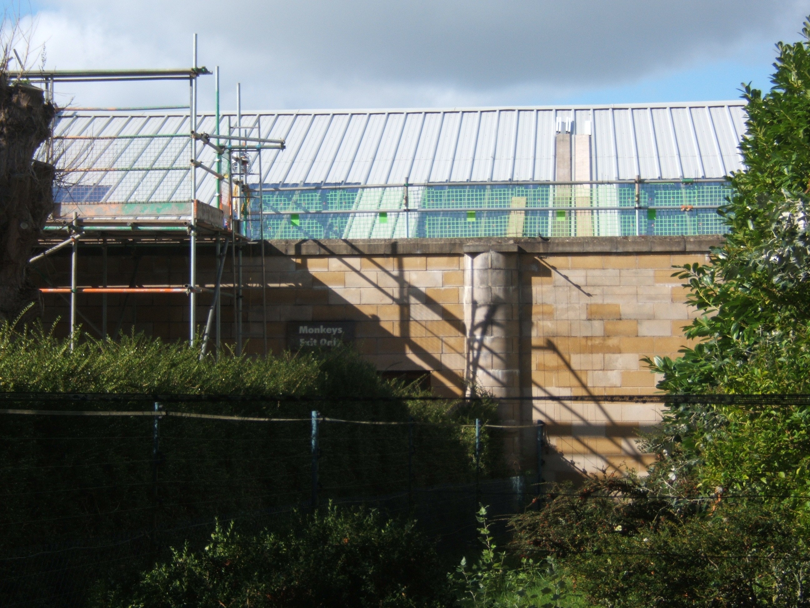 View of re-roofing of the Monkey House