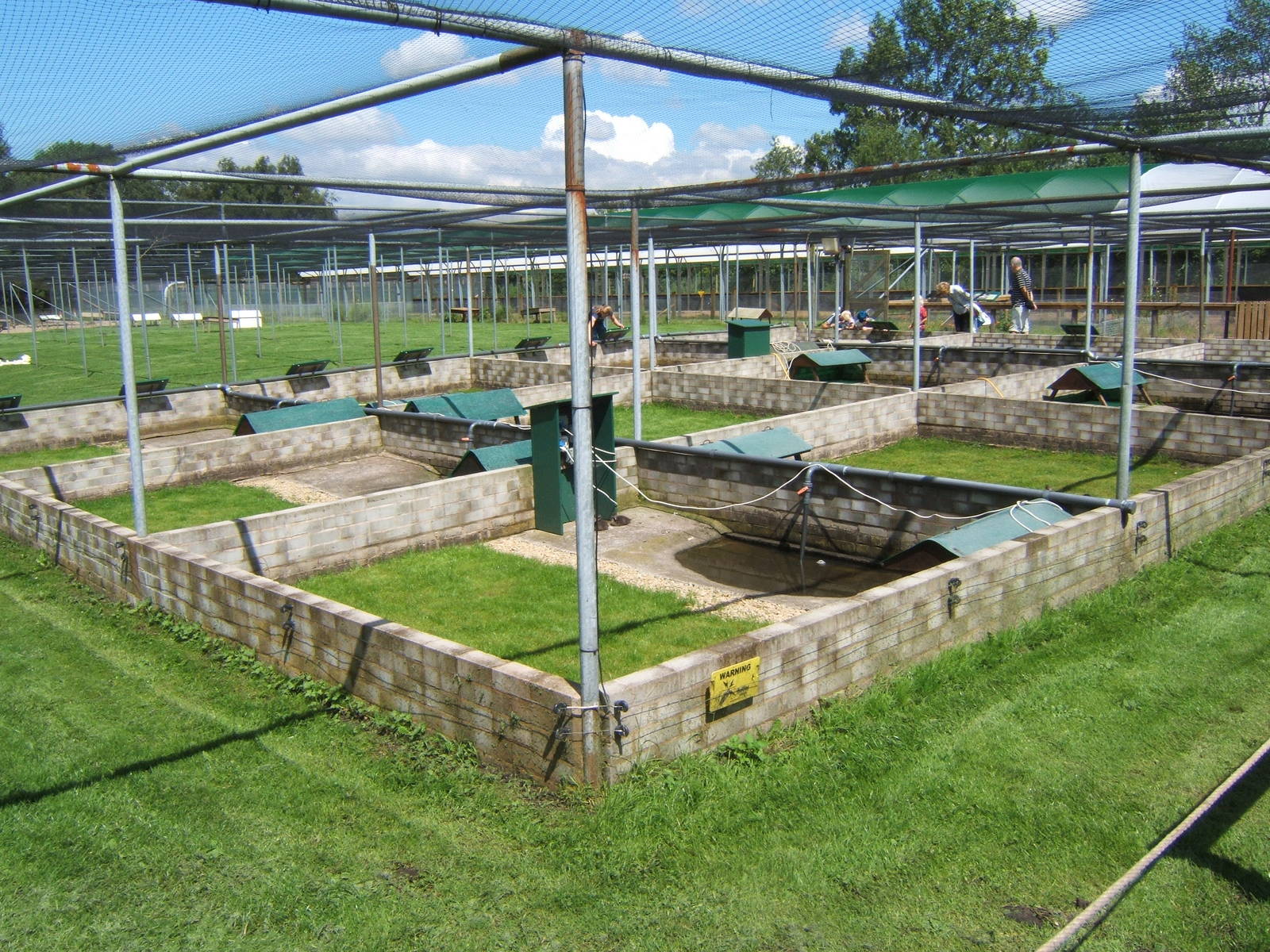 View of rearing pens