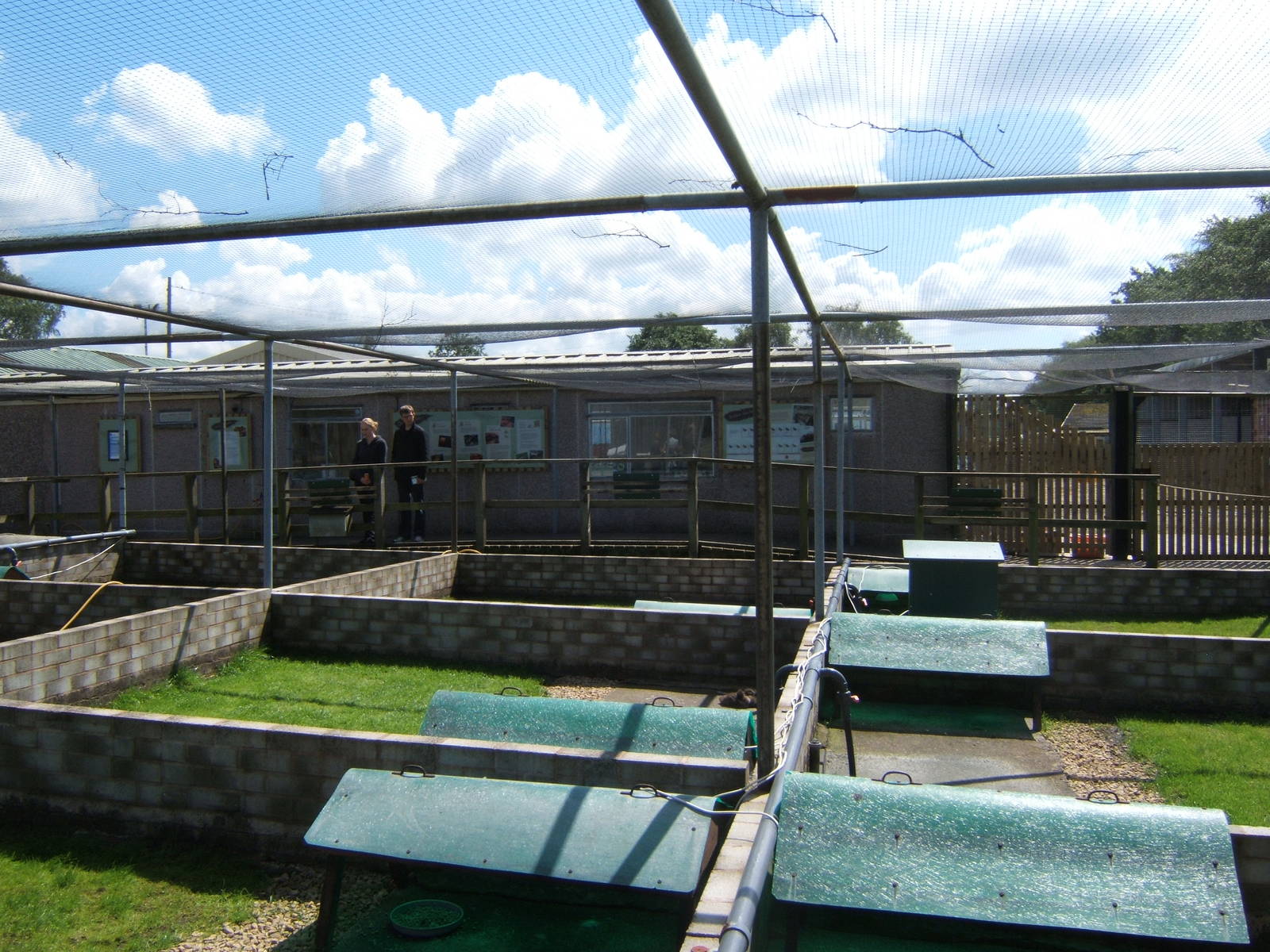 View of rearing pens