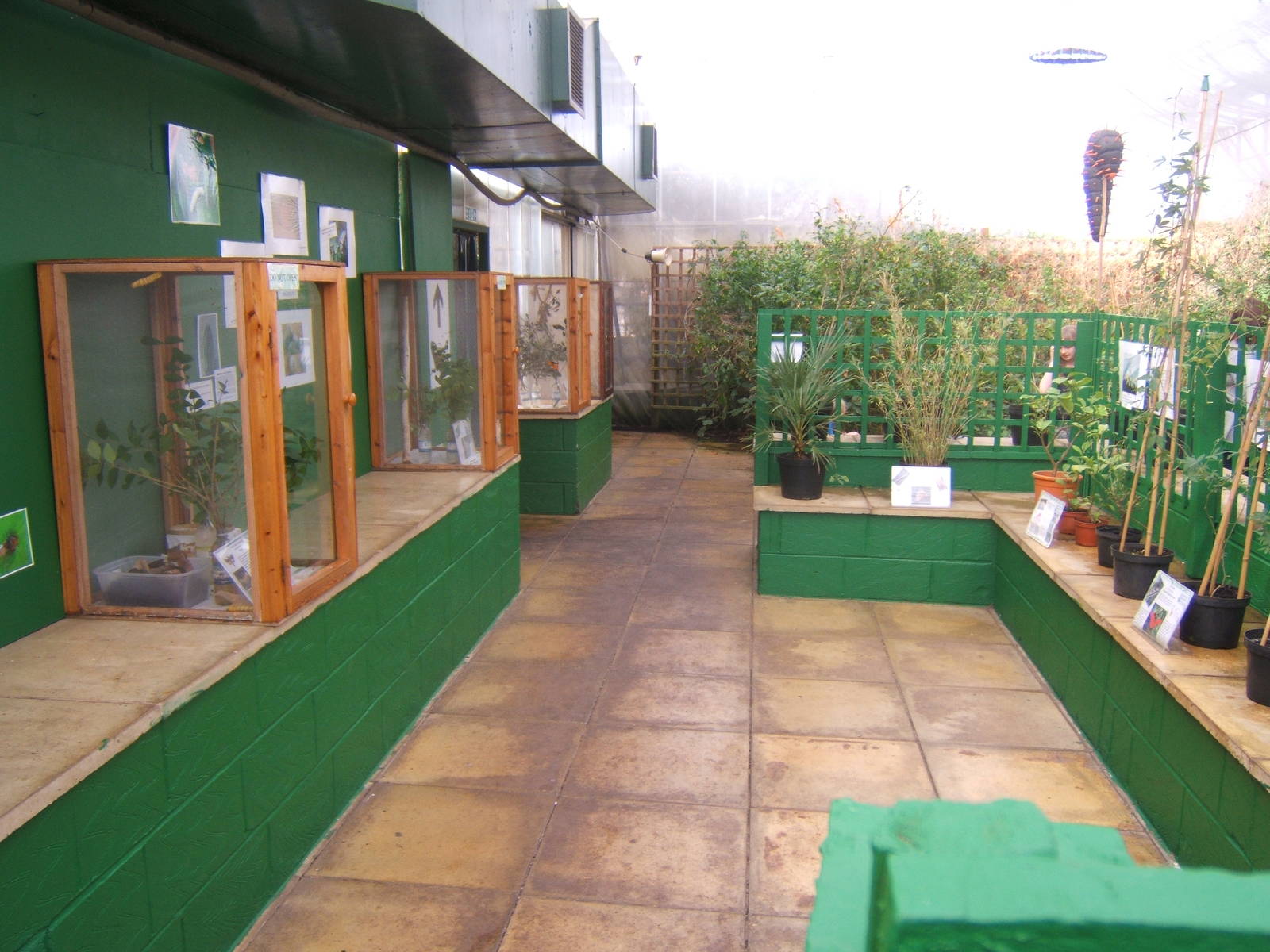 View of rearing room