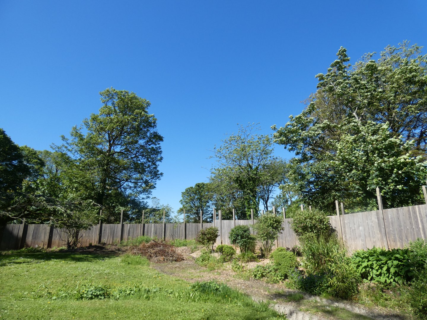 View of red panda enclosure from back