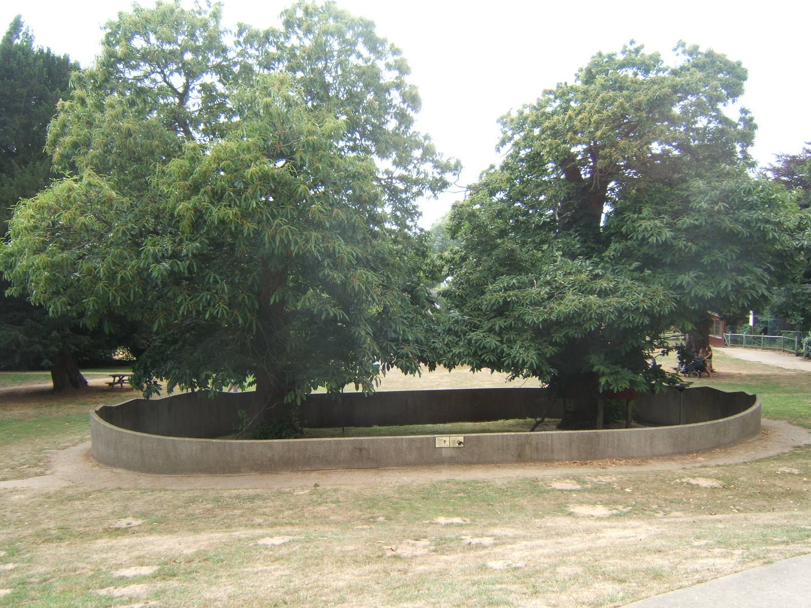 View of Red Panda enclosure
