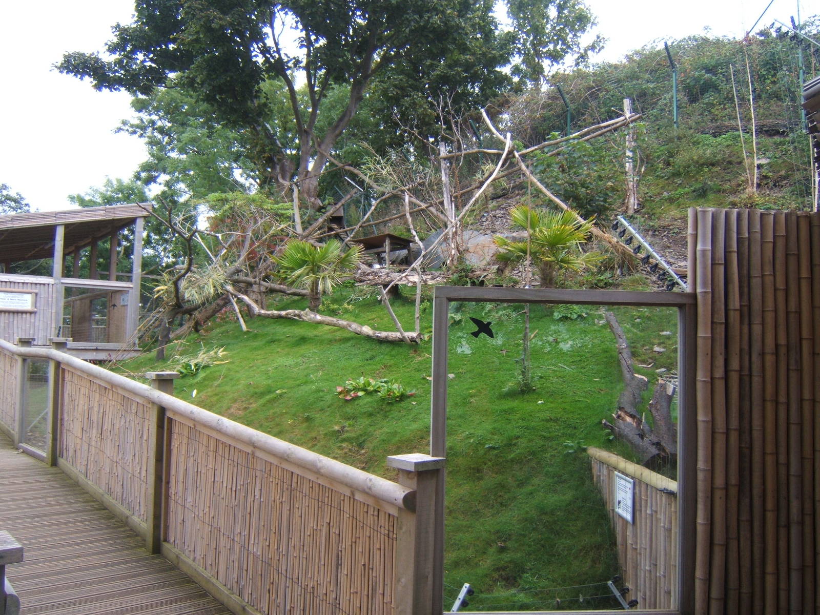 View of Red Panda enclosure