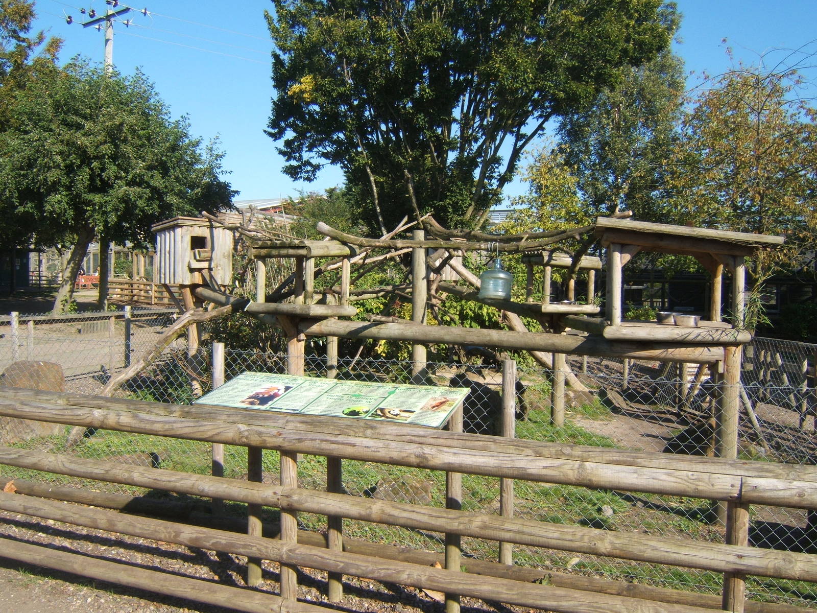 View of Red Panda enclosure