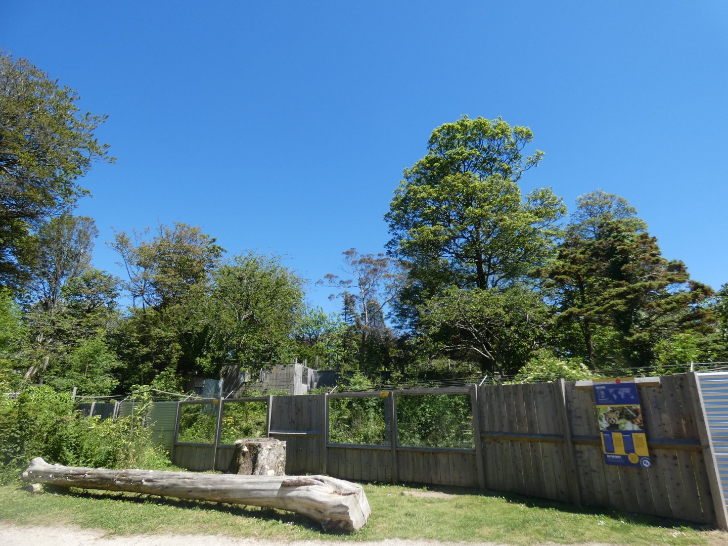 View of Red panda enclosure