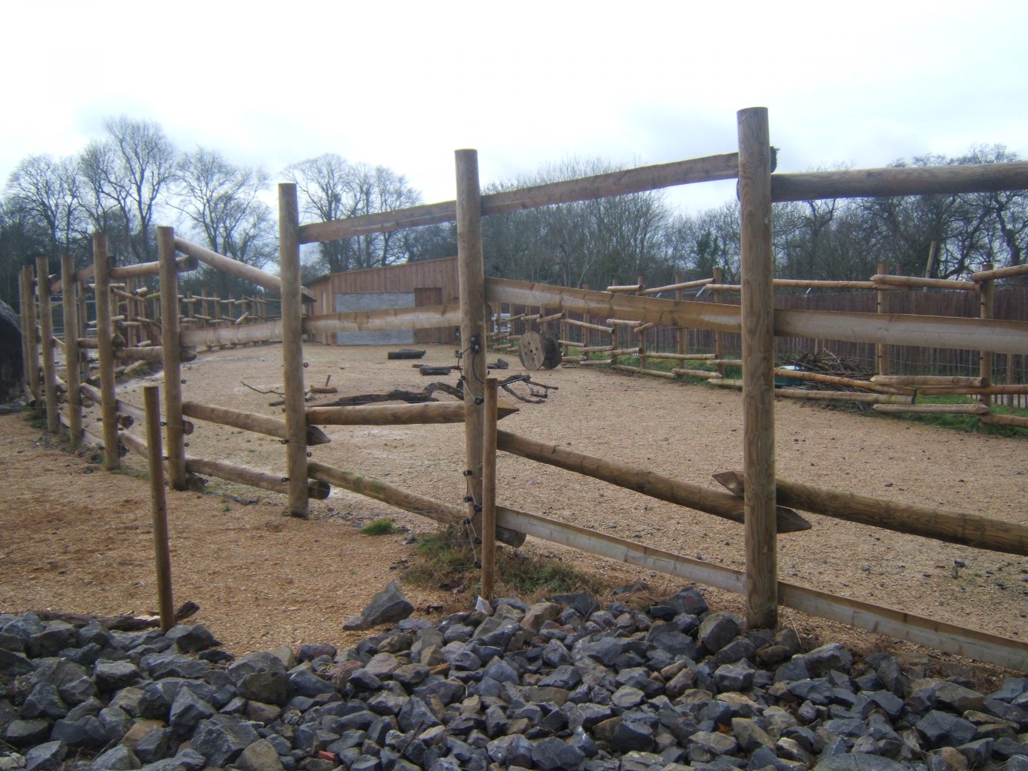 View of Red River Hog enclosure 03/02/2018