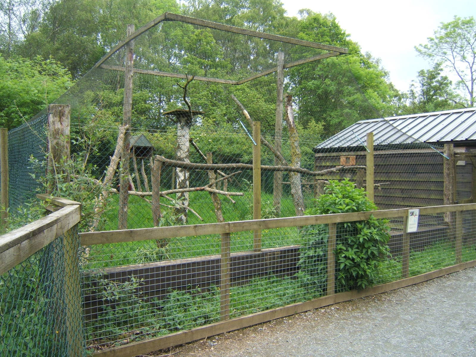 View of Red Ruffed Lemur enclosure