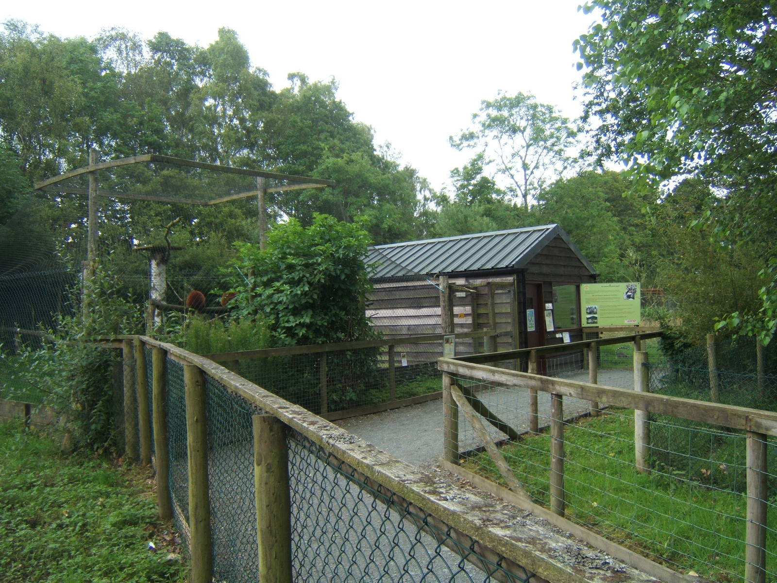 View of Red Ruffed Lemur enclosure