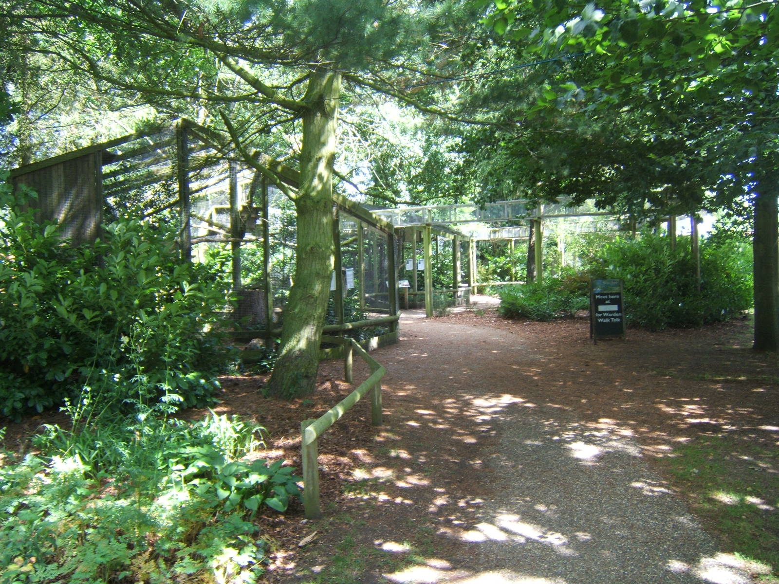 View of Red Squirrel breeding complex
