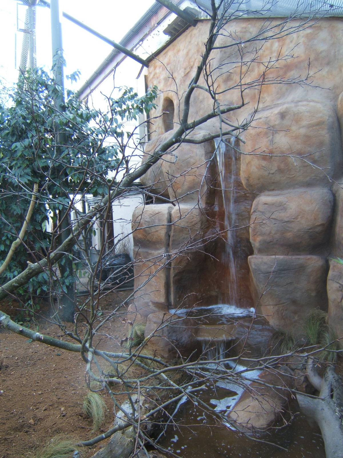 View of refurbed Hyacinth Macaw Aviary