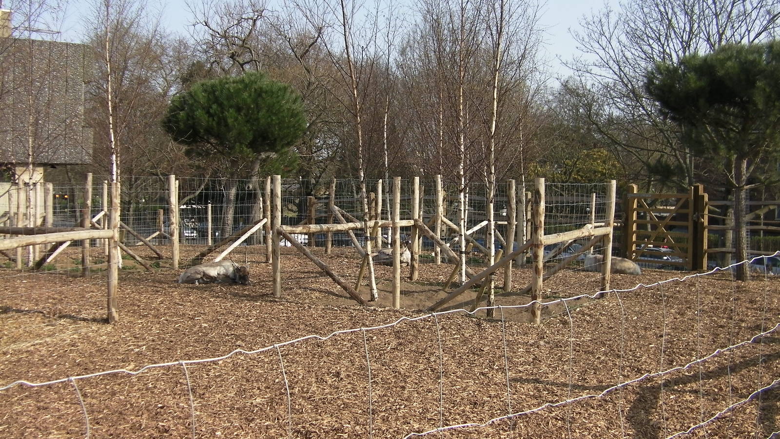 View of Reindeer Enclosure - 24.03.2012