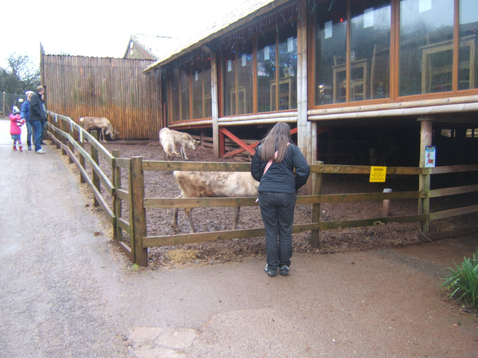 View of Reindeer enclosure