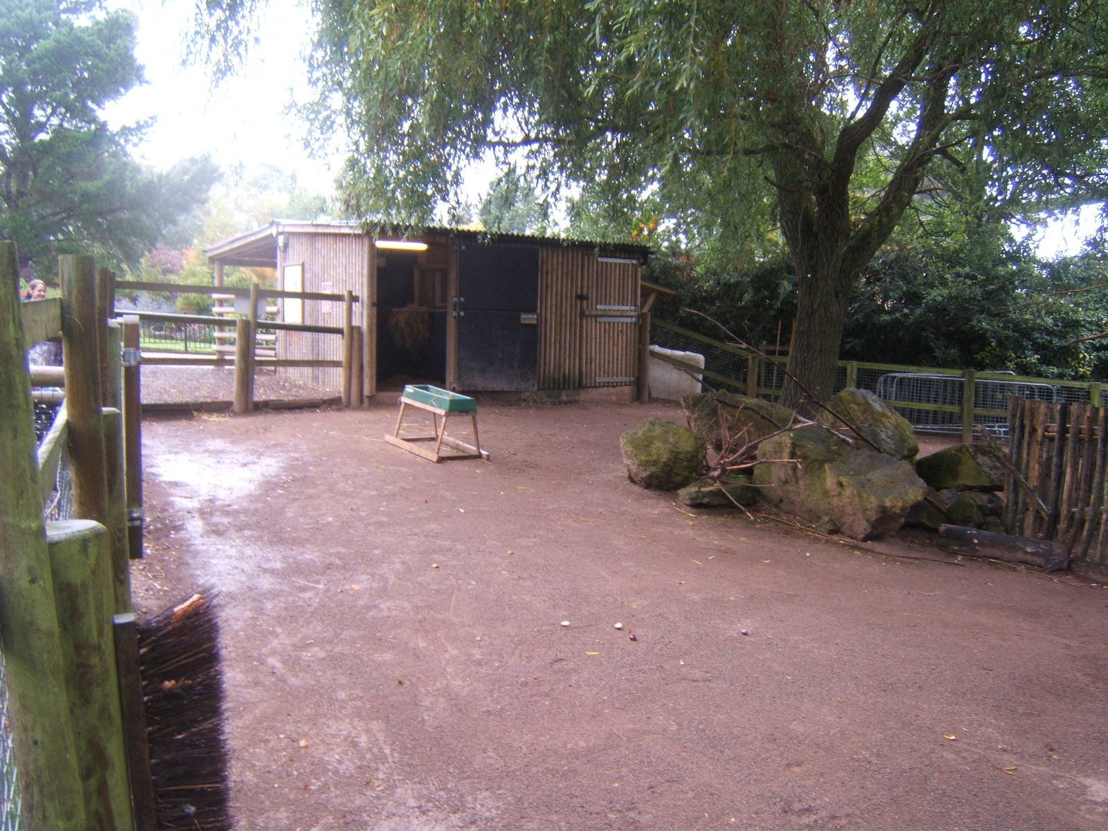 View of Reindeer enclosure