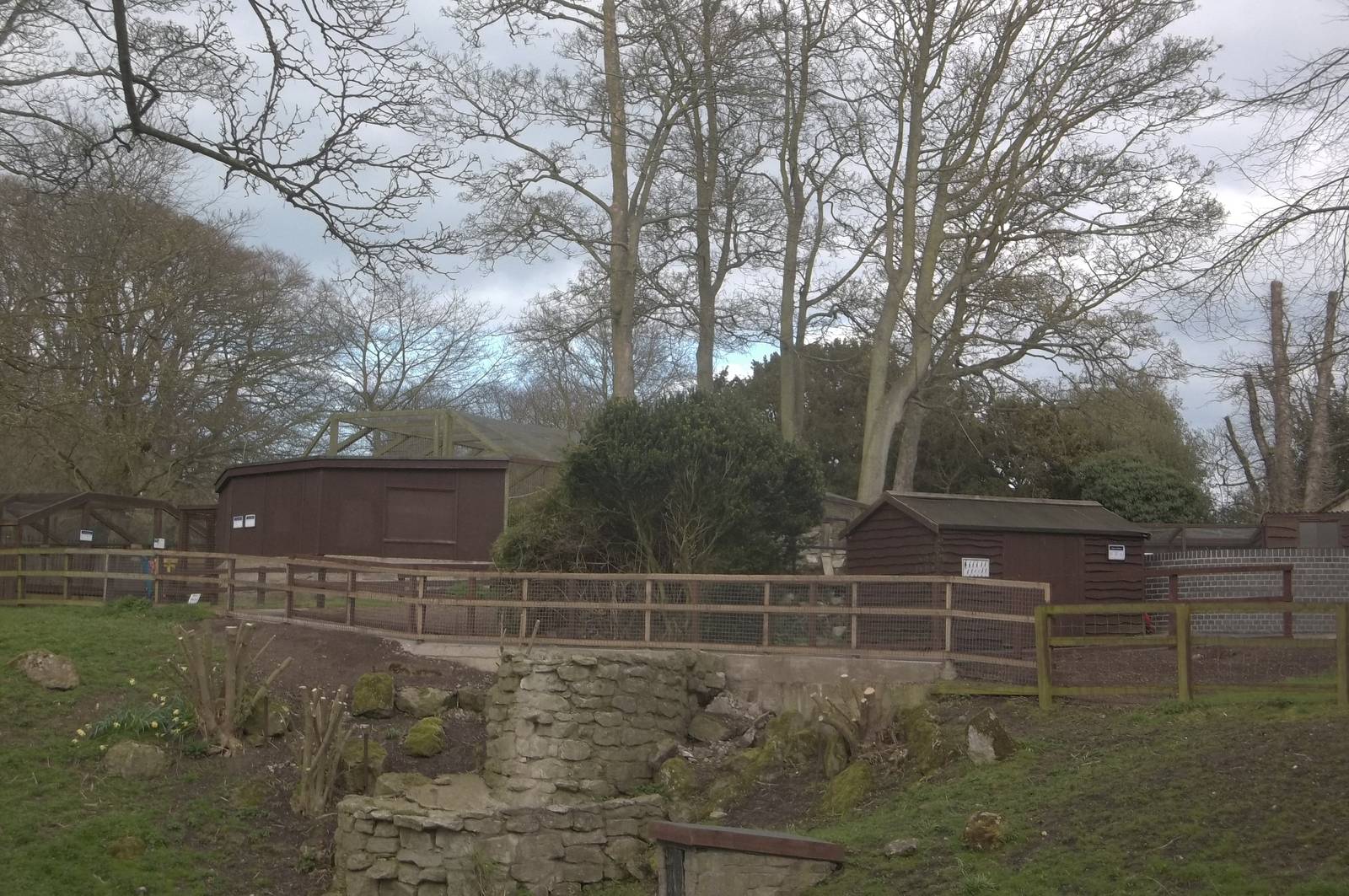 View of renewed pathway and bridge from bottom of zoo, 17th April 2016
