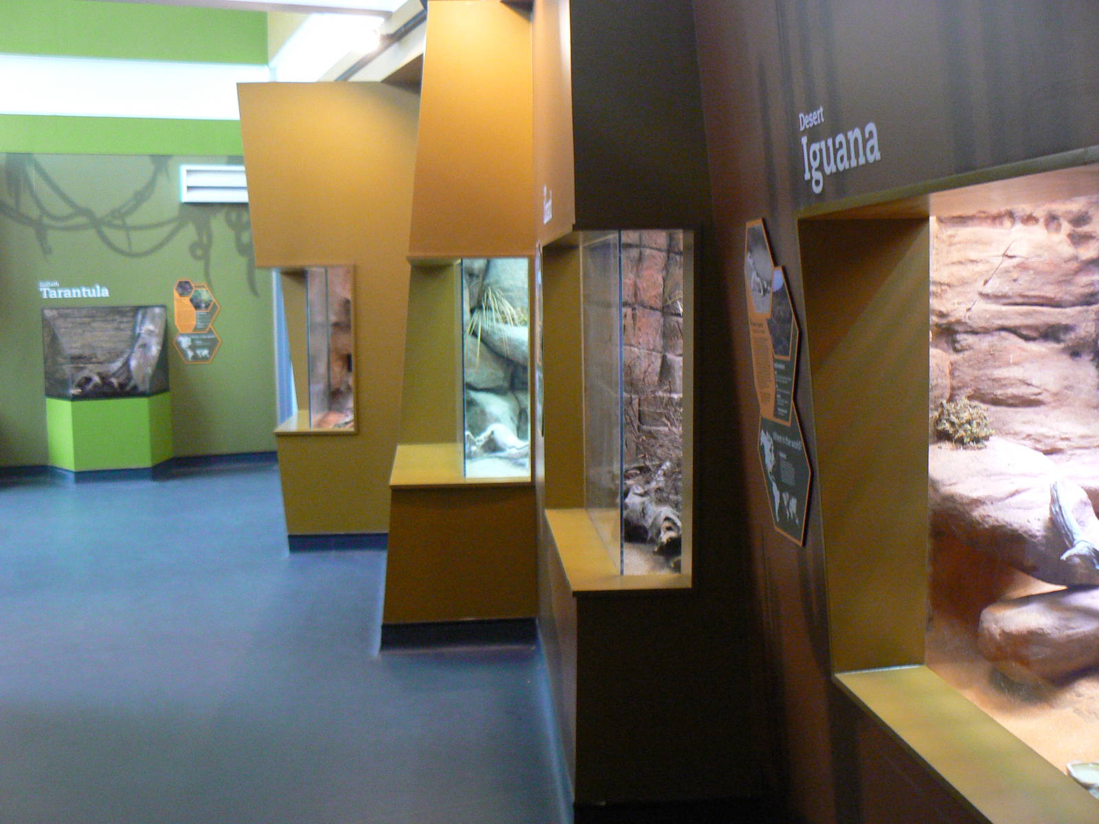 View of Reptile and Tarantula Tanks - 12 June 2016, Askham Bryan College