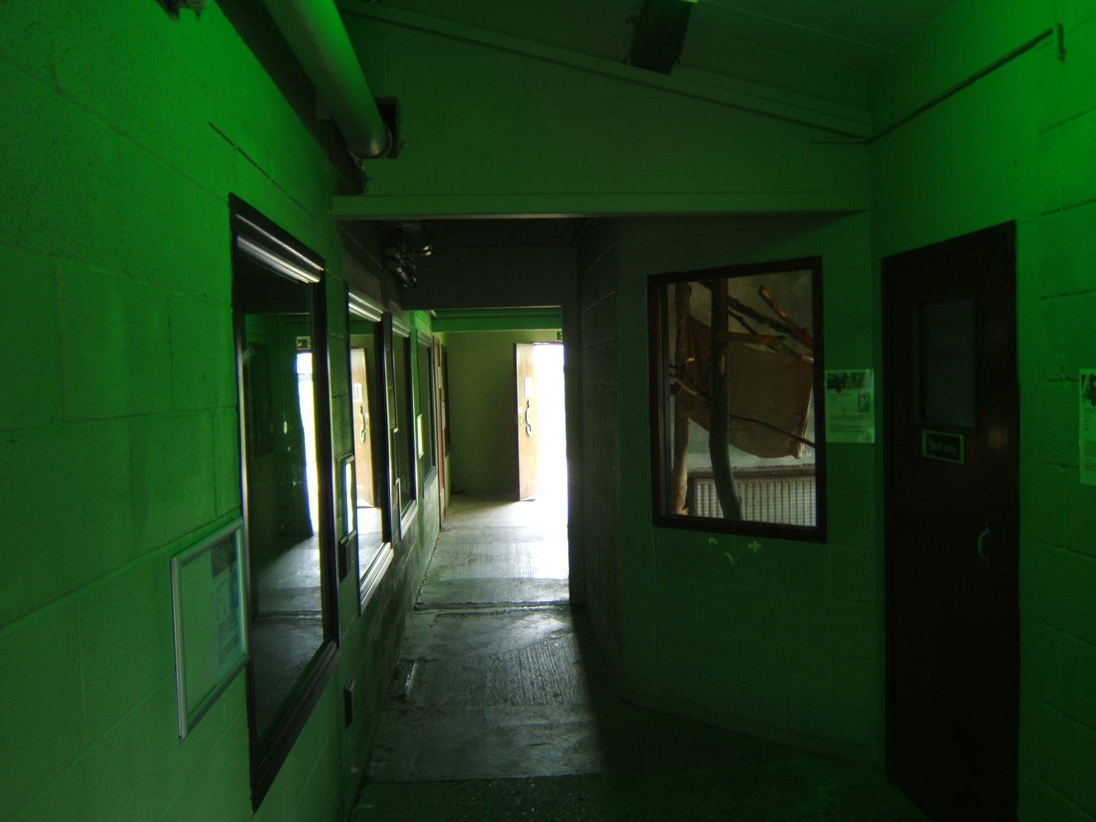 View of Reptile enclosure and Primate indoor housing on left